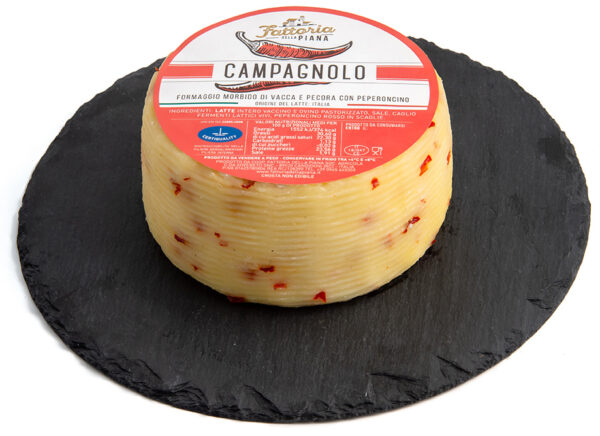 FORMAGGIO CAMPAGNOLO CON GUINDILLA 1Kg APROX FATTORIA DELLA PIANA