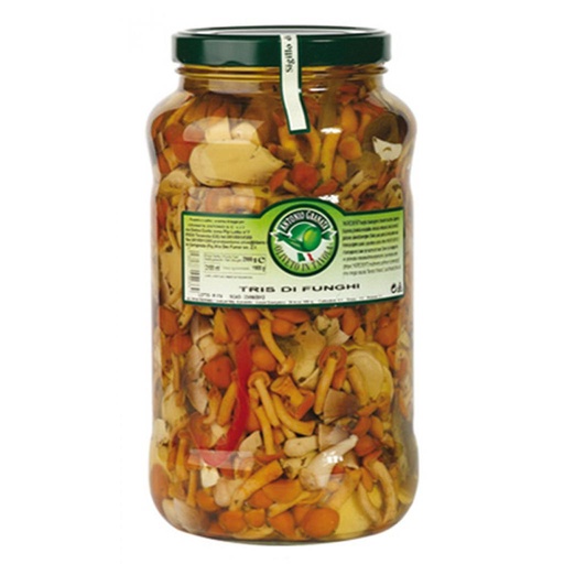 [400337] FRUTTI BOSCO C/PORCINI (TRIS FUNGHI) 3KG - AGRA