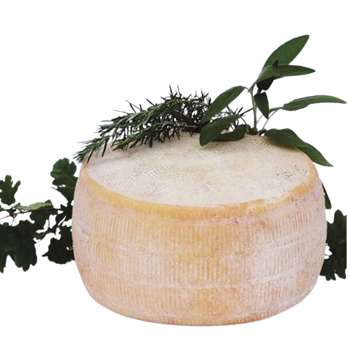 [STA08M] PECORINO ALTA MURGIA 2,2Kg APROX "CORATINO"